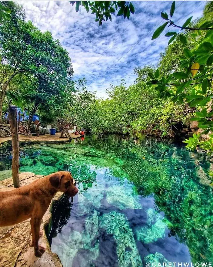 דירות Kalet Tulum Tu Magico Lugar, Te Espera 0*,